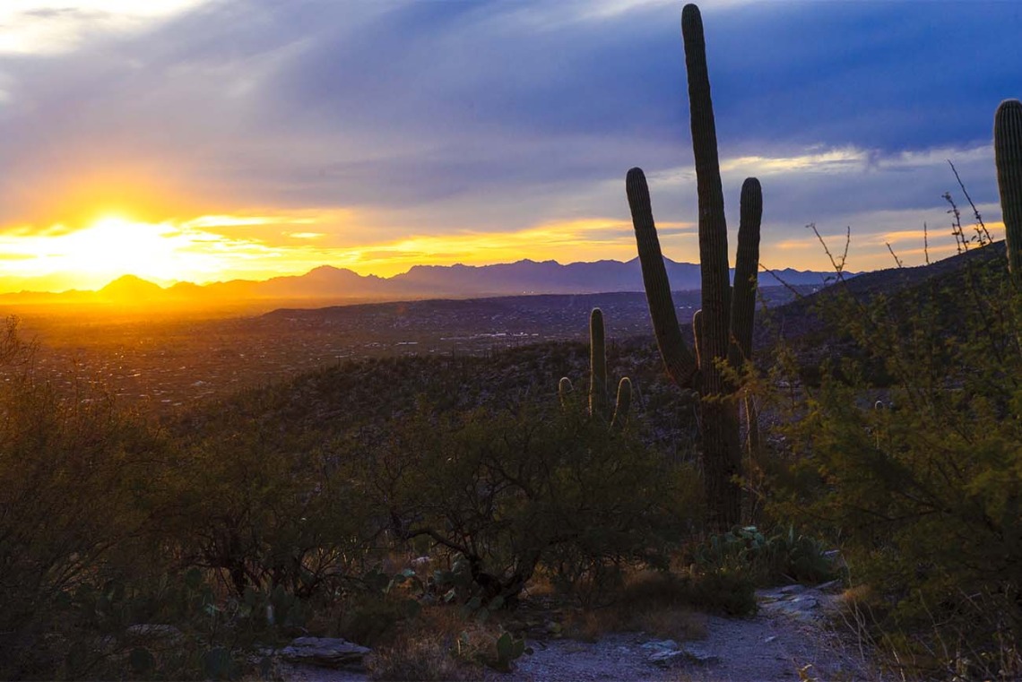 Desert sunset in Arizona