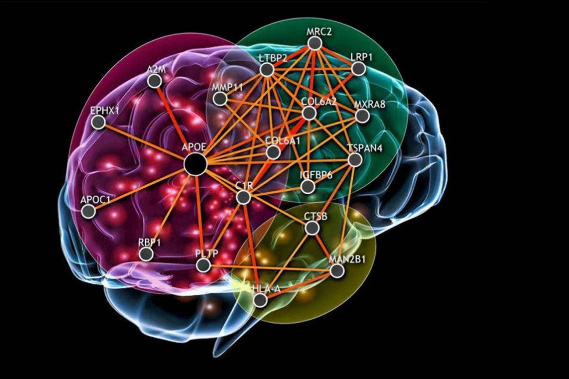 Researchers at the Center for Innovation in Brain Science are flipping the traditional research model by first considering known factors underlying diseases and then seeking treatments using technologies to scan data for patterns that suggest certain compounds may impact those biological pathways. 