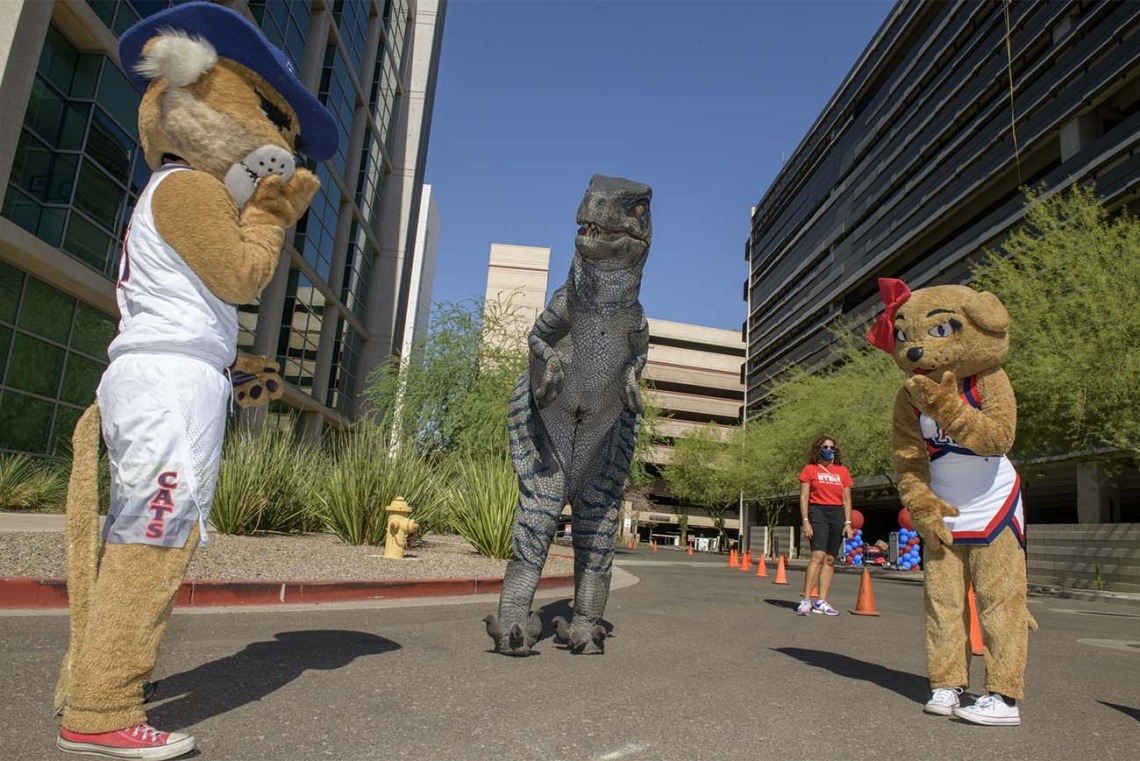 Wilbur and Wilma contemplate whether a T-Rex would rather eat a Wildcat or a Sun Devil at the entrance to the Connect2STEM drive-through event. 