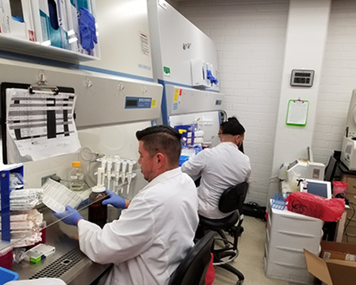 The University of Arizona Health Sciences Biorepository has secured the materials to produce 7,000 coronavirus specimen collection kits this week. Pictured are (L-R): Ryan Finnel, Ayman Sami, Simran Sahnan, Jose Camarena and Michael Badowski, PhD, lab manager for the Harris Lab (Credit: University of Arizona/David Harris).