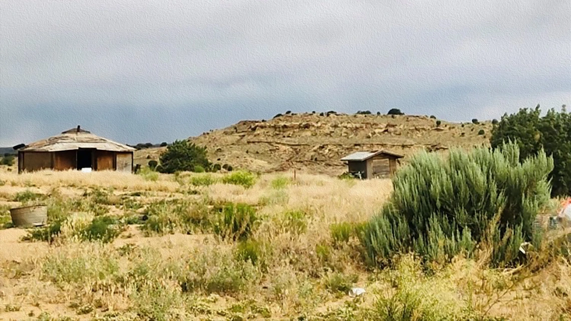 Medical students from the College of Medicine – Phoenix deliver essential supplies to residents of the Navajo Nation during the COVID-19 pandemic.