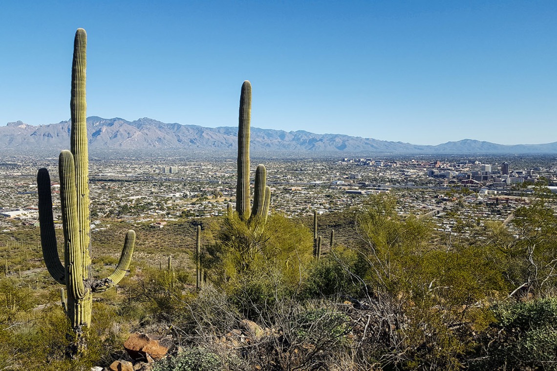 The arid climate of the Southwestern U.S. provides researchers at the University of Arizona with a real-world laboratory to study the effects of climate change on human health both locally and across the globe.