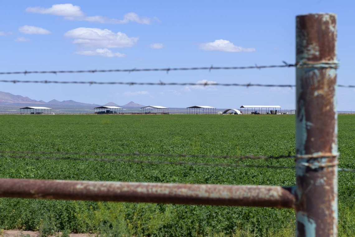 Many agriculture laborers cross the border daily to work on U.S. farms, including here in Douglas, Arizona, which has less than a quarter the population of Agua Prieta, Sonora, the town that lies immediately south in Mexico. 