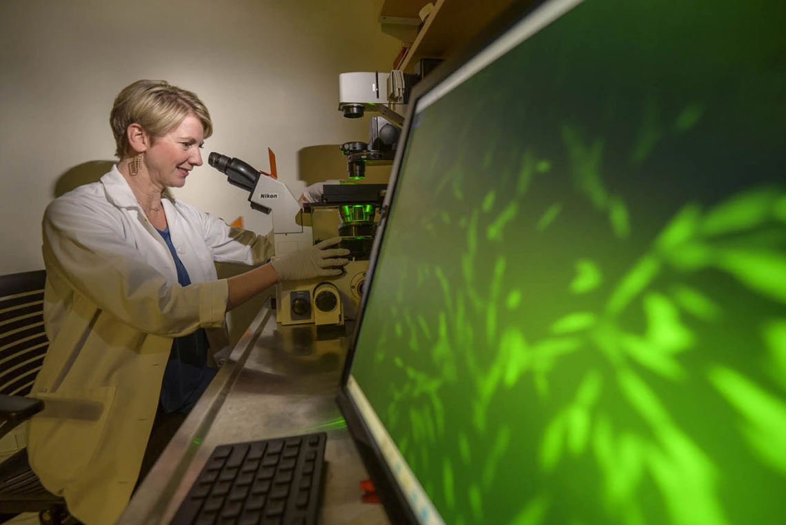 Felicia Goodrum, PhD, co-leads Pandemic Control, Prediction and Preparedness, one of three research areas of focus for the Aegis Consortium.