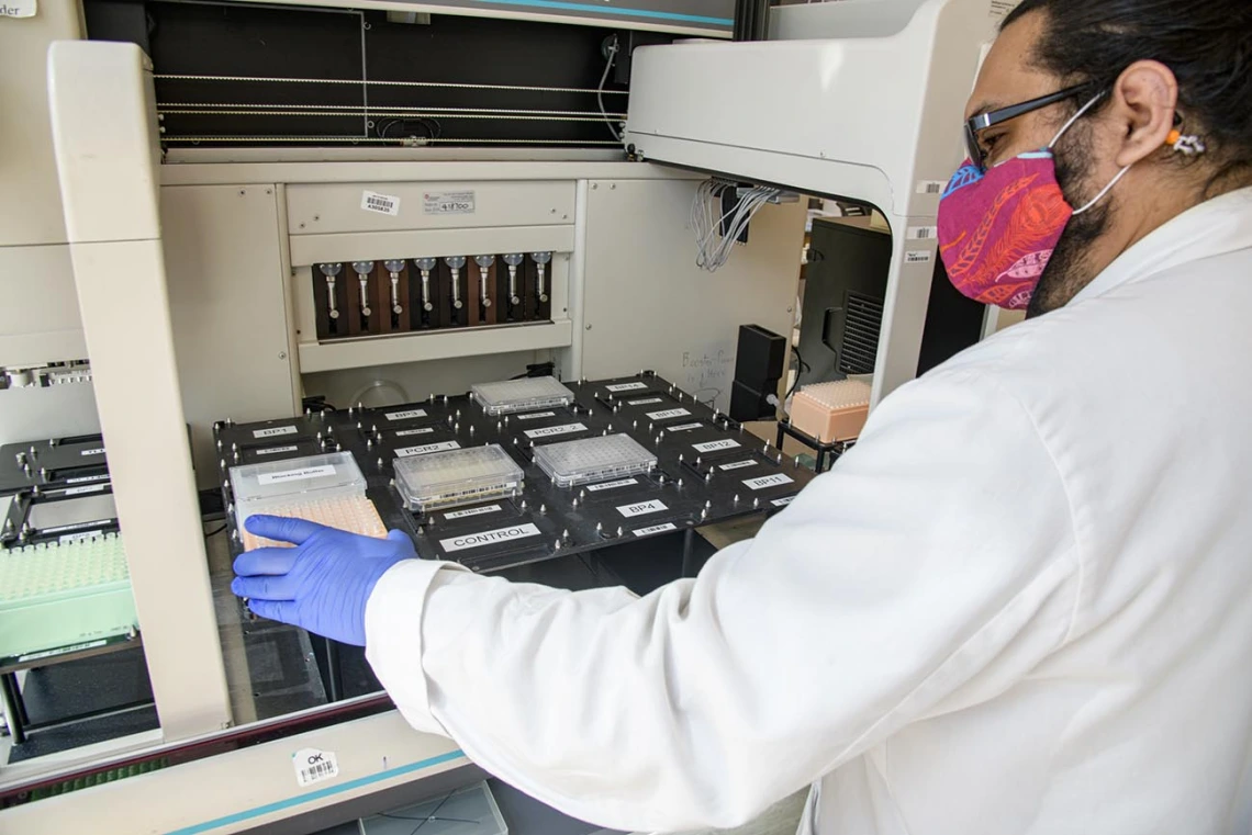 Jose Carranza, research technician in University of Arizona Genetics Core, loads a plate of serum for antibody testing onto a Biomek robot for dilution.