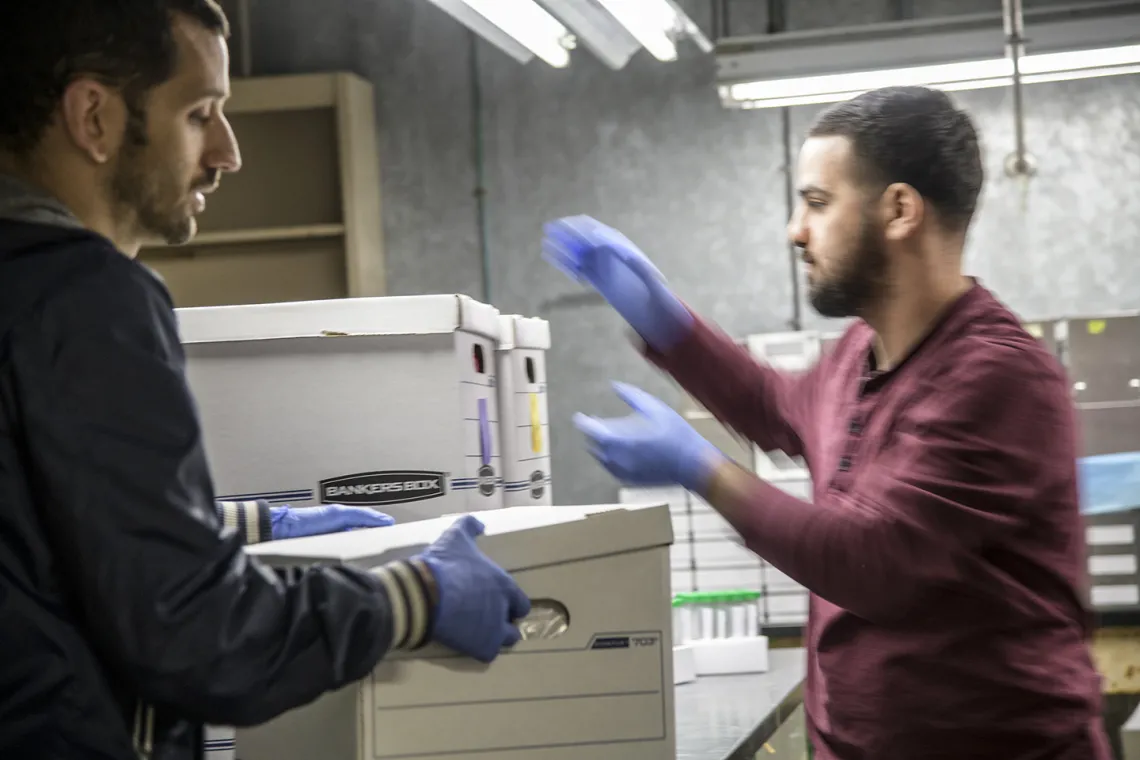 Biorepository laboratory technicians Brandon Jernigan and Ayman Sami, load boxes of COVID-19 sample collection kits to deliver to Banner-University Medical Center Tucson.