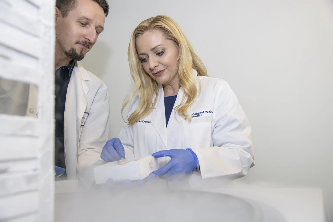 Drs. Herbst-Kralovetz and Łaniewski select cells preserved through cryopreservation, a technique that can freeze cells without damaging them.