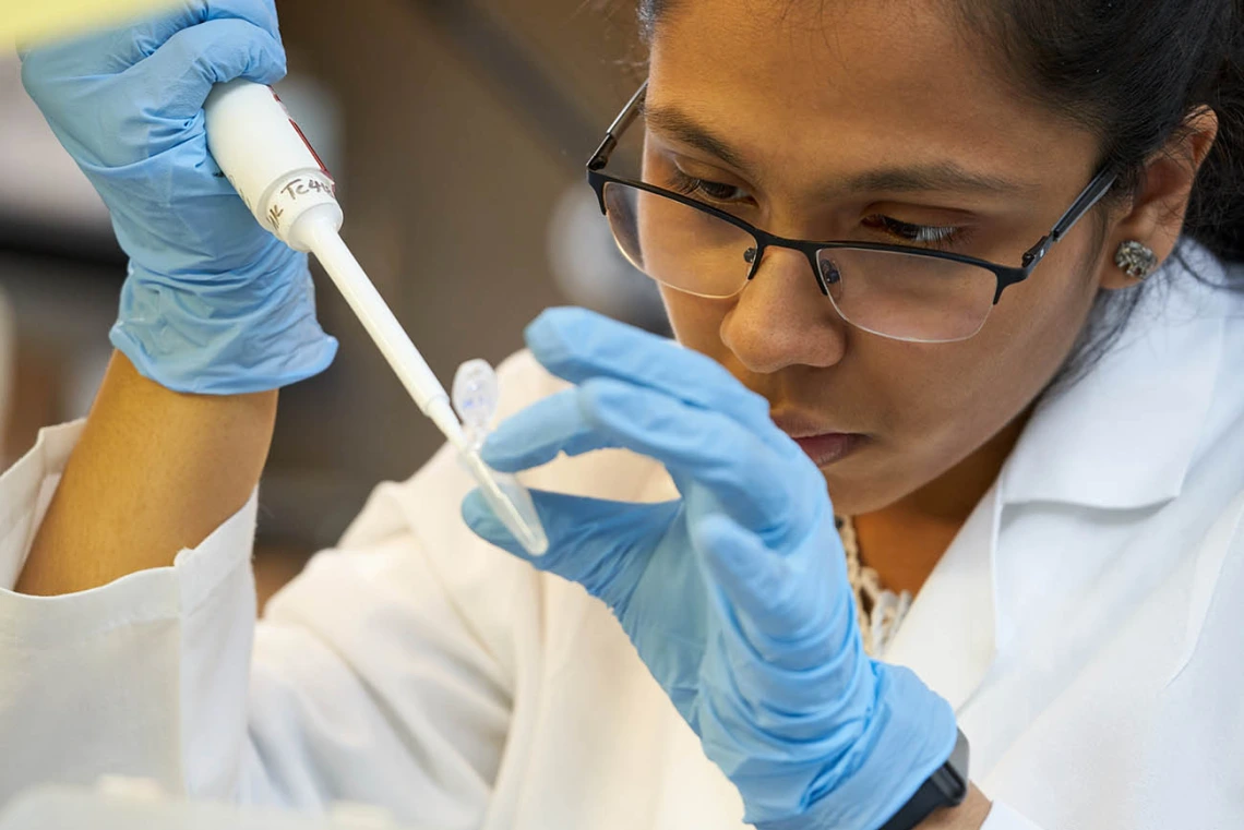 Five new seed projects will benefit from the All of Us Researcher Workbench, a cloud-based platform where researchers can access health data from a diverse group of participants from across the U.S. in one of the largest biomedical data resources of its kind.