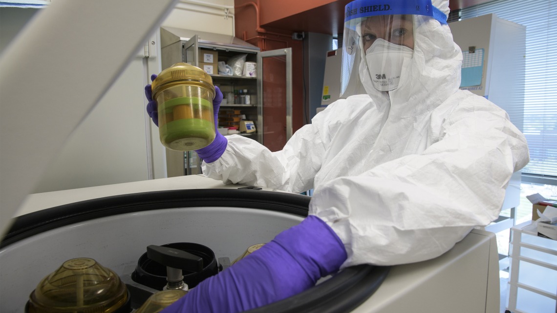 Jennifer Uhrlaub, associate research scientist and laboratory manager in the Janko Nikolich-Zugich lab, loads samples into centrifuge in the Biosafety level 3 lab in April.