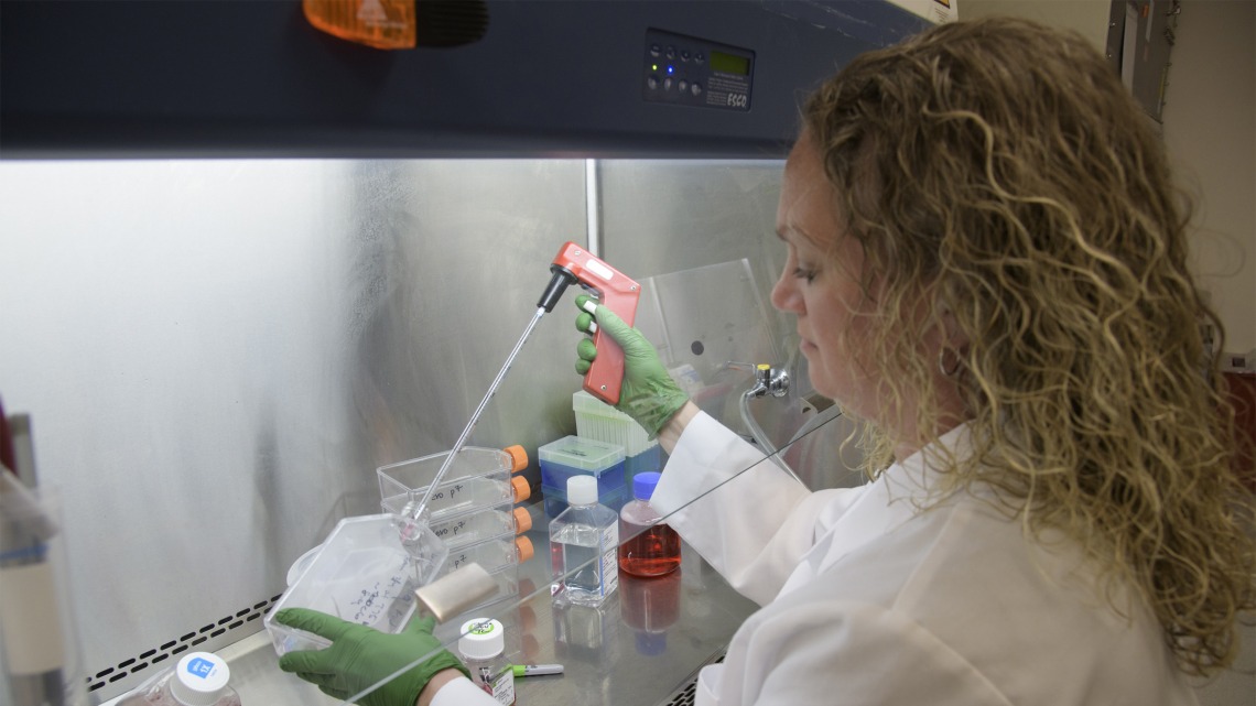 Jennifer Uhrlaub, MSc, assistant research scientist, prepares to culture the virus that causes COVID-19 so it can be pitted against antibodies to learn how it can be defeated.