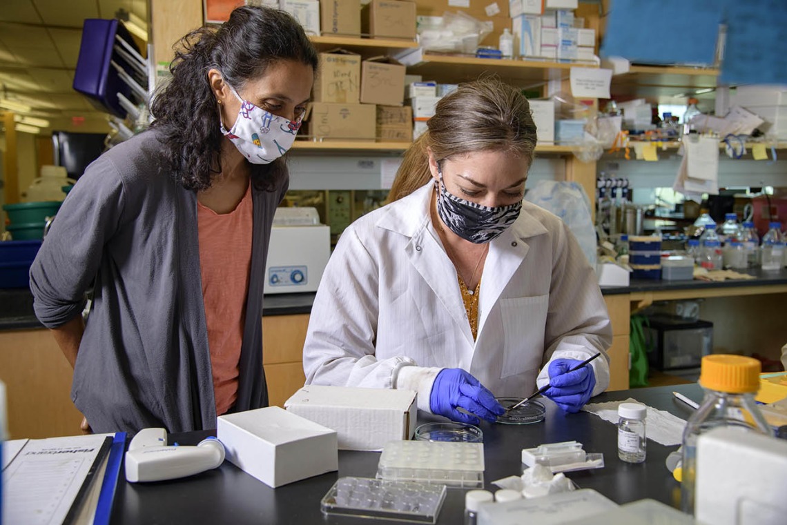A unique National Institutes of Health-funded training program helps prepare UArizona Health Sciences students for careers that have a significant impact on understanding the biology of infection and inflammation as drivers of aging.