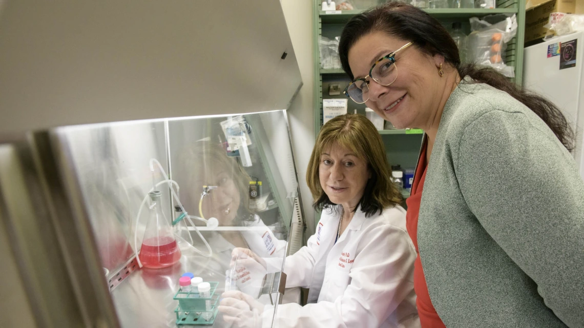 Nancy K. Sweitzer, MD, PhD, director of the Sarver Heart Center (right) and Carol Gregorio, PhD, co-director of the Sarver Heart Center, view collaboration across disciplines as key to future success for the center.