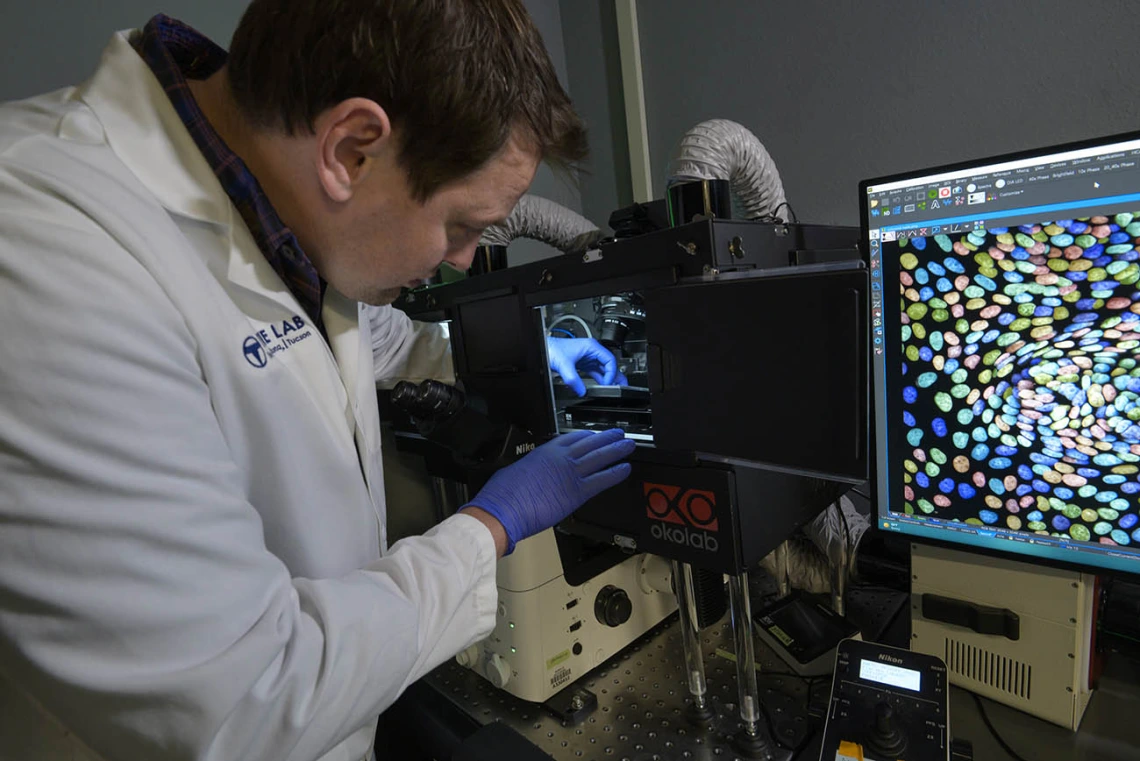 Organoids are miniature tissues or tumors grown in the laboratory that provide scientists with a more realistic model to design therapeutics for hard-to-treat cancers and rare diseases.