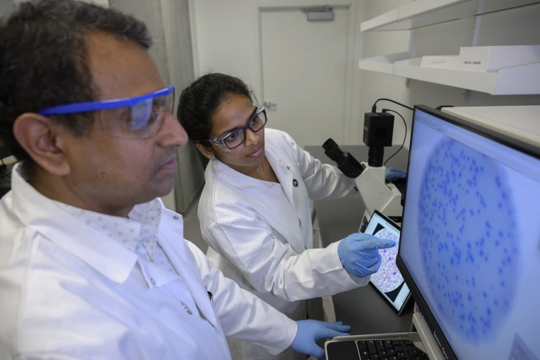 Two University of Arizona Health Sciences researchers look at a microscope image of  immune responses to tumor antigens on a computer monitor