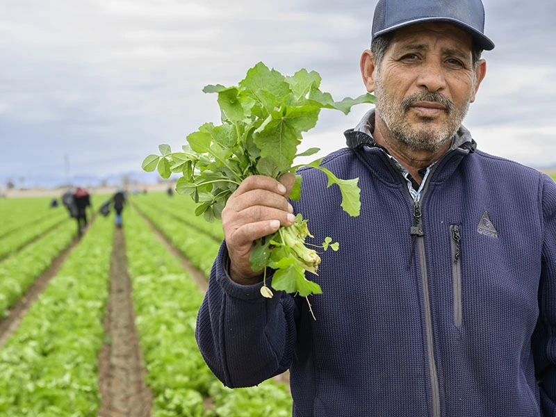 farmer holding crops