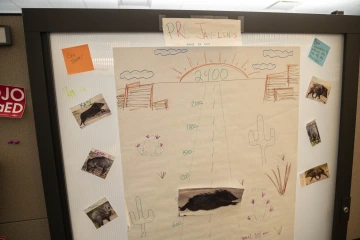 A progress poster with a javelina trying to meet its walking goal target