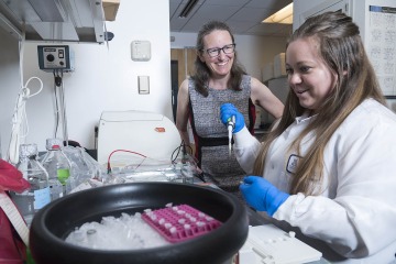 Dr. Hale works with research technician Dana Floyd in the Hale Lab at the College of Medicine – Phoenix. 