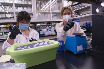 From left: Undergraduate student Emily Ngu assists Jennifer Stern, PhD, assistant professor of endocrinology in the UArizona College of Medicine – Tucson, who is using a Healthy Aging Seed Grant to study the effects of enhancing glucagon sensitivity at the liver through caloric restriction, with the goal of identifying a therapeutic target to prevent age-related metabolic disease. 