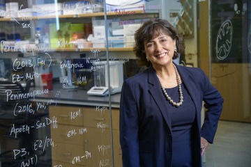 Roberta Diaz Brinton, PhD, has researched neurodegenerative diseases and the aging female brain for more than 25 years.