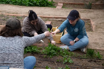 three students sit on the ground tending to plants in a garden