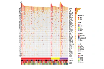 KRAS mutation graph