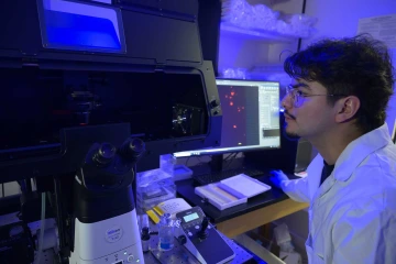 Student studies a computer monitor to perform data analysis for a research project at the University of Arizona Health Sciences