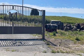 A photo of a metal gate with the letter “M” in the middle; wine casks and rows of grapevines are in the background.