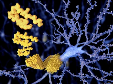 Amyloid beta Peptide illustration