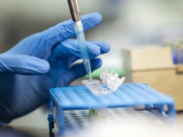 Hands of a scientific investigator in a laboratory 