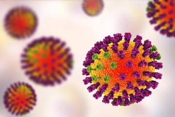 Influenza virus illustration