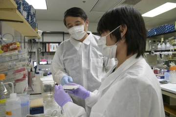 Yin Chen, PhD, teaches a research scientist to analyze cellular proteins from samples of viral infection.