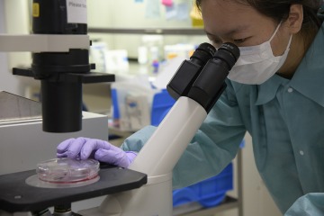 Research scientist analyzing cells infected with a virus in a University of Arizona Health Sciences laboratory. 