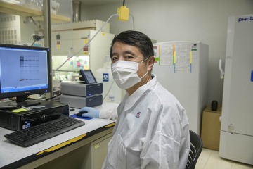 Yin Chen, PhD, is analyzing a gel image of interferon responsive proteins.