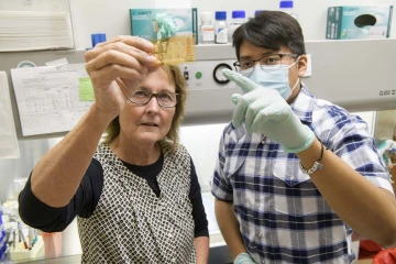 Under the guidance of mentor Anne Cress, PhD, biomedical engineering senior Elijah Keeswood studied aggressive cancer tumors during the Partnership for Native American Cancer Prevention summer internship program.