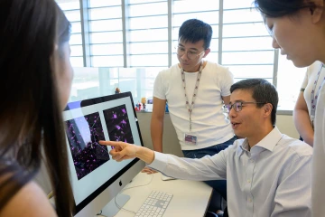 Bioenergetic dysregulation often occurs in parallel with widespread neuroinflammation, Yin says, yet how these processes interact is unclear. His research focuses on delineating the crosstalk between brain energy metabolism and chronic neuroinflammation, specifically cellular redox dysregulation and lipid dyshomeostasis as candidate-bridging factors and potential therapeutic targets for age-associated neurodegenerative disorders.
