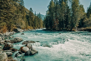 Nature soundtracks featuring ocean waves, rippling brooks, rain or birds can be found online and help create a calming environment.