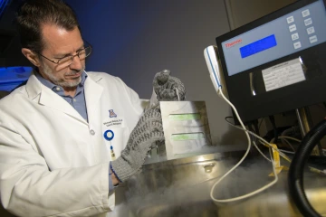 Michael Bawdowski, PhD, associate research scientist, adds specimens to a freezer to be stored for testing.