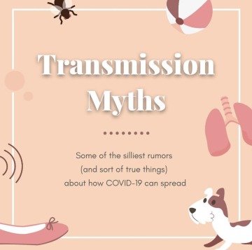 Each of the Instagram stories contained several images, this is the first of 8 images on transmission myths.