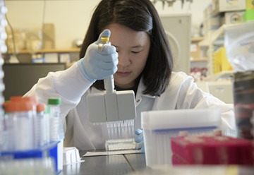 Rachel Wong, Department of Immunobiology research specialist and graduate student, validates the antibody test, which will help unravel the mysteries of the immune response to the virus that causes COVID-19.