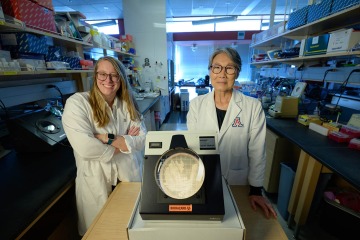 (From left) Dr. Rhodes and mentor Magdalene So, PhD, use biochemistry, genomics and high-resolution microscopy to better understand the mechanisms of action of two closely related bacteria, Neisseria gonorrhoeae and Neisseria meningitidis. 