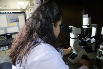 Kimberley Gomez, PhD, locates a cell that will be digitally recorded as it is exposed to VEGF-A, SARS-CoV-2 and small molecules.