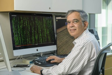 researcher at computer