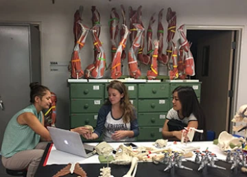 UA physiology students in the lab