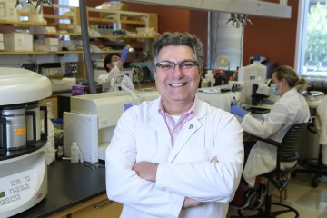 Klearchos Papas, PhD, director of the College of Medicine – Tucson’s Institute for Cellular Transplantation, in his lab. 
