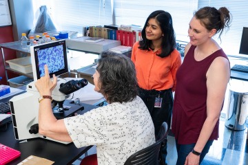 (From left) Donata Vercelli, MD, (seated) shows Sree Kumar and Avery Ann DeVries, PhD, some research findings. Dr. Vercelli says her cosmopolitan lab helps better understand how the environment and microbes living in our bodies can protect from asthma development.   