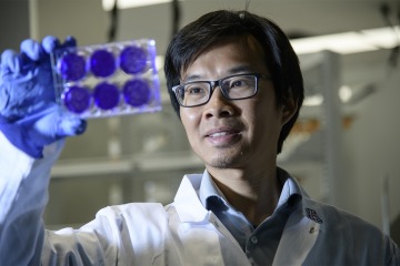 Jun Wang, PhD, looks at cells infected with a virus to see if an antiviral drug candidate shows promise.