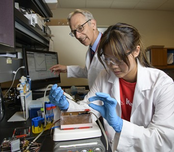 High school student Yi-Jen Yang works side by side with her mentor, Marvin J. Slepian, MD, on a device that tests whether blood has functioning platelets that can properly aggregate and coagulate.