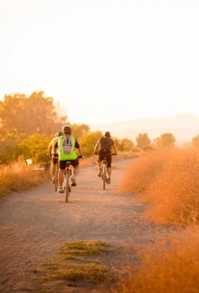 People biking on a road.