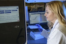 Melissa Herbst-Kralovetz, PhD, analyzes PCR data that she hopes will lead to a better understanding of how an optimal vaginal microbiome might protect health and guard against gynecologic cancers. (Photo: Kris Hanning/University of Arizona Health Sciences)