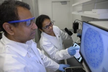 Two University of Arizona Health Sciences researchers look at a microscope image of  immune responses to tumor antigens on a computer monitor